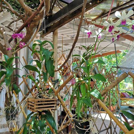 Hotel Patty'S Secret Garden Ko Lanta Esterno foto