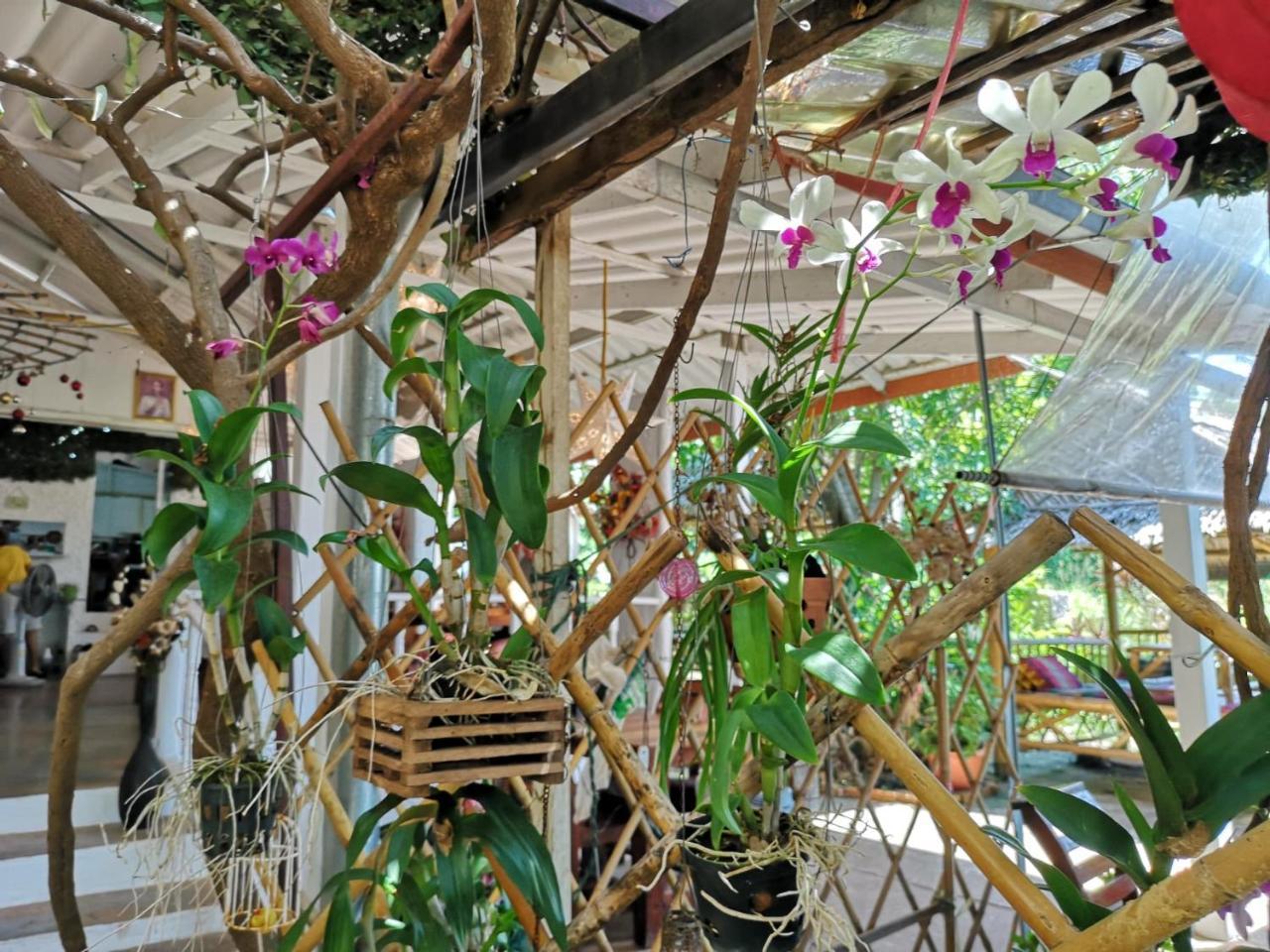 Hotel Patty'S Secret Garden Ko Lanta Esterno foto